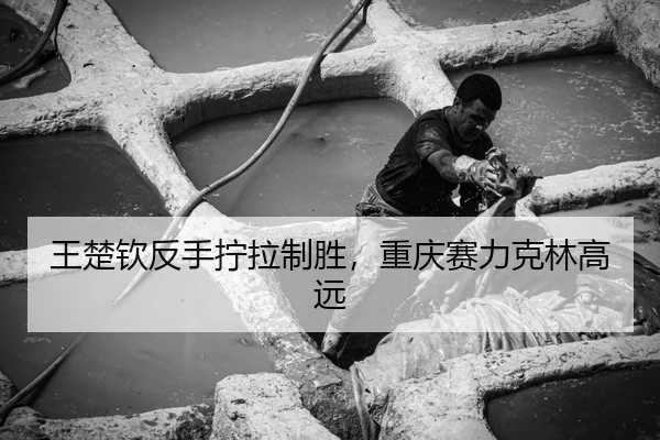 王楚钦反手拧拉制胜，重庆赛力克林高远