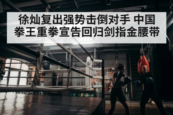 boxer training